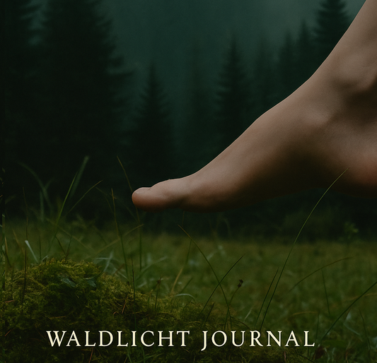 Was ist Erdung – und warum ist sie so wichtig?